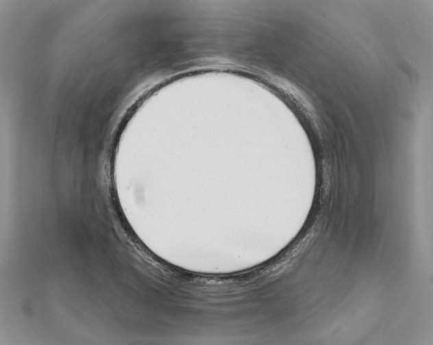 X0000111621318200908281104