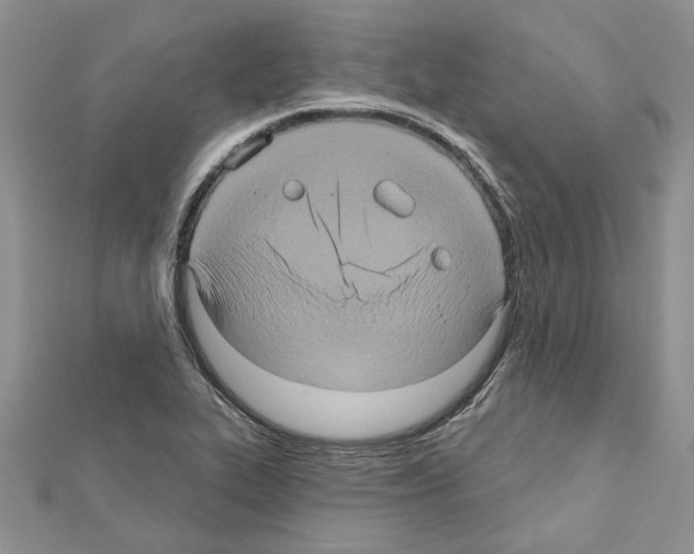 X0000111621319200908281104