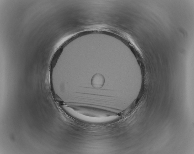 X0000111621320200908281104