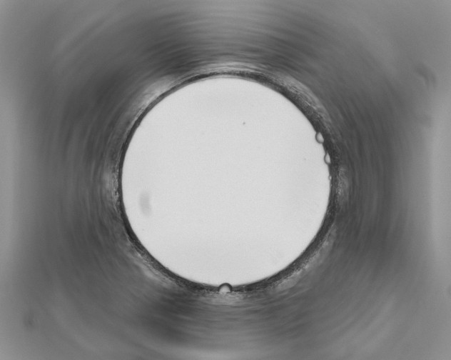 X0000111621321200908281104