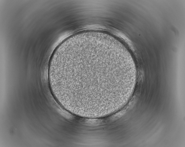 X0000111621322200908281104