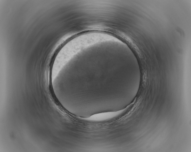 X0000111621323200908281104