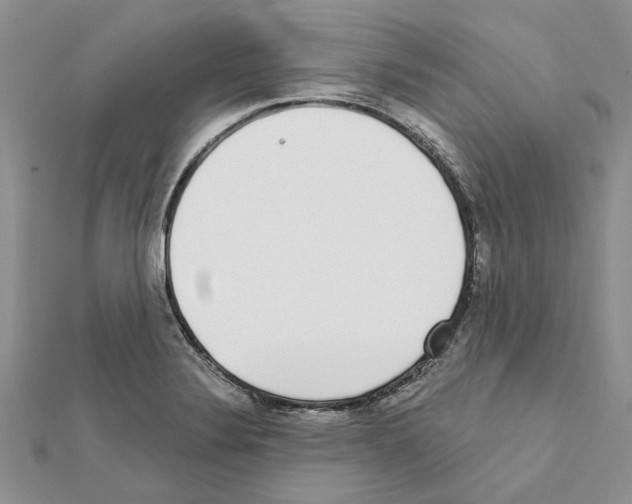 X0000111621324200908281104