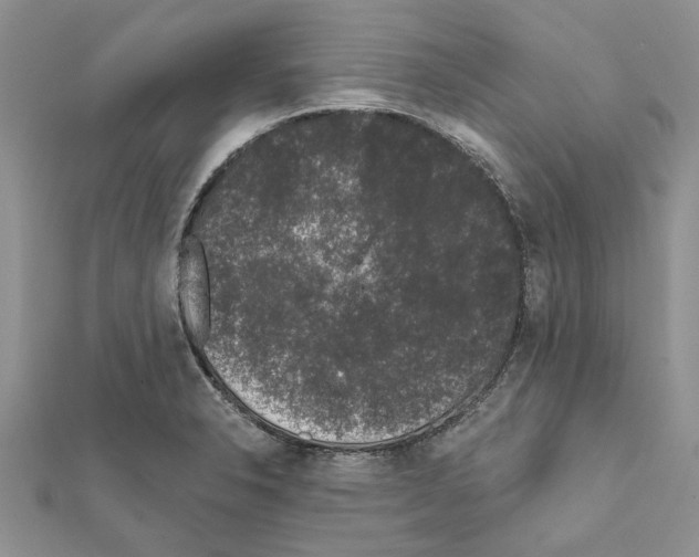 X0000111621326200908281104