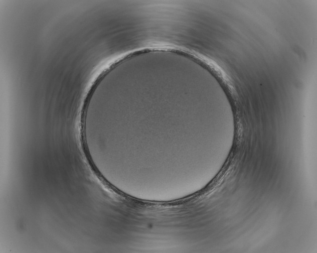 X0000111621327200908281104