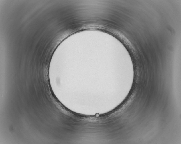 X0000111621329200908281104