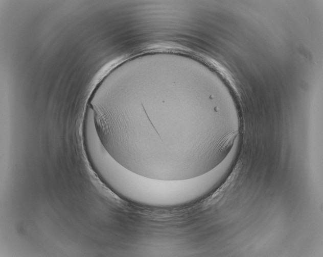 X0000111621330200908281104