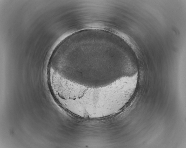 X0000111621331200908281104