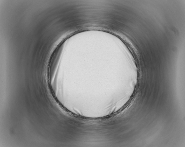 X0000111621333200908281104