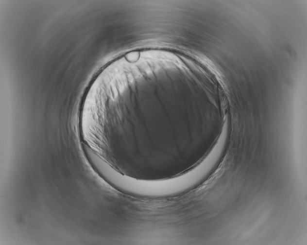 X0000111621334200908281104