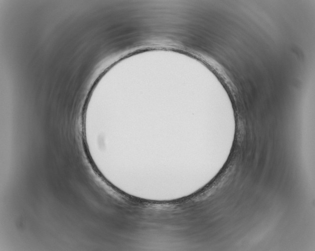 X0000111621335200908281104