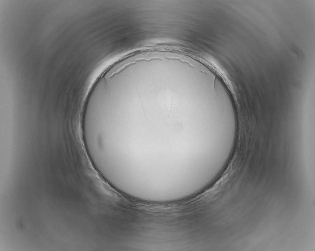 X0000111621336200908281104