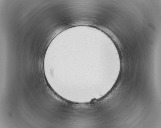 X0000111621337200908281104