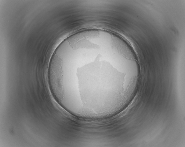 X0000111621338200908281104