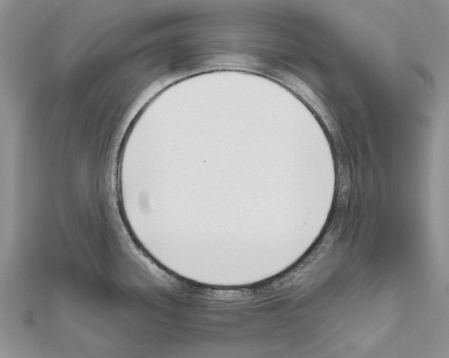 X0000111621339200908281104