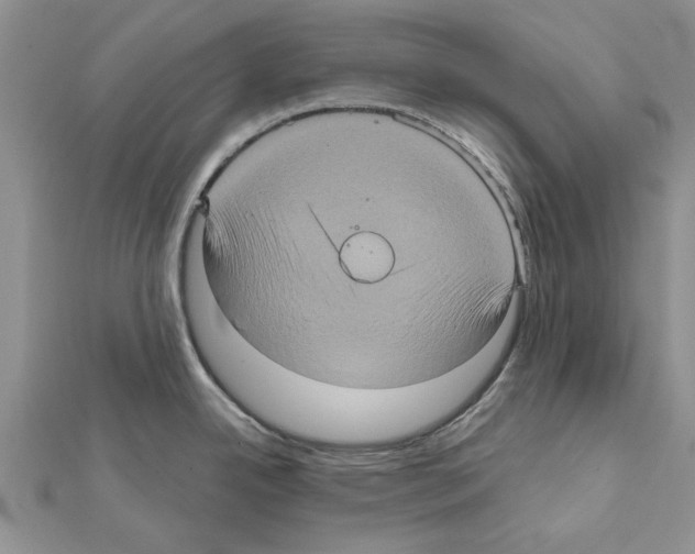 X0000111621342200908281105