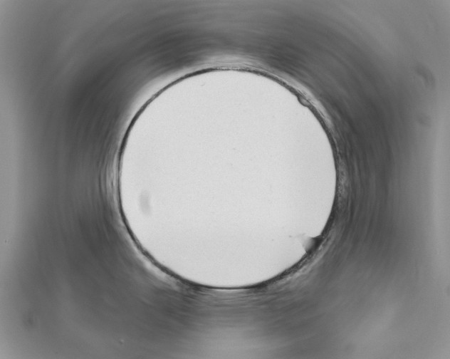 X0000111621343200908281105