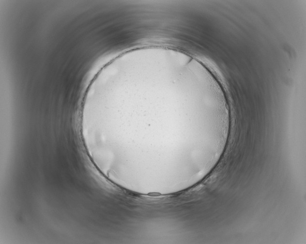 X0000111621344200908281105