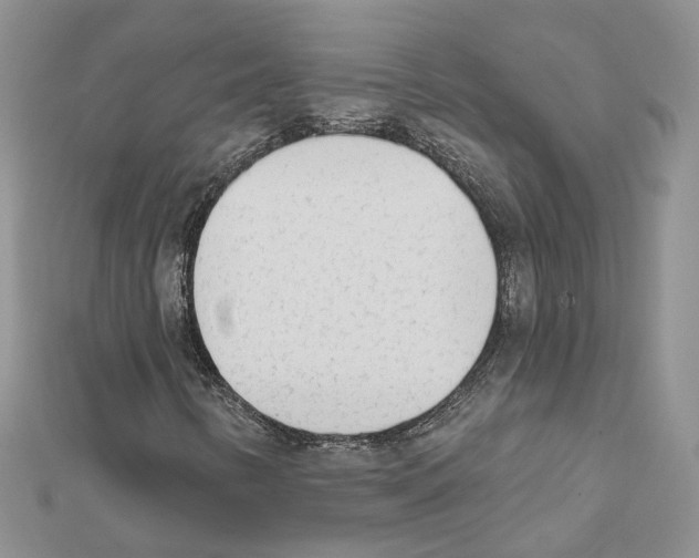 X0000111621346200908281104