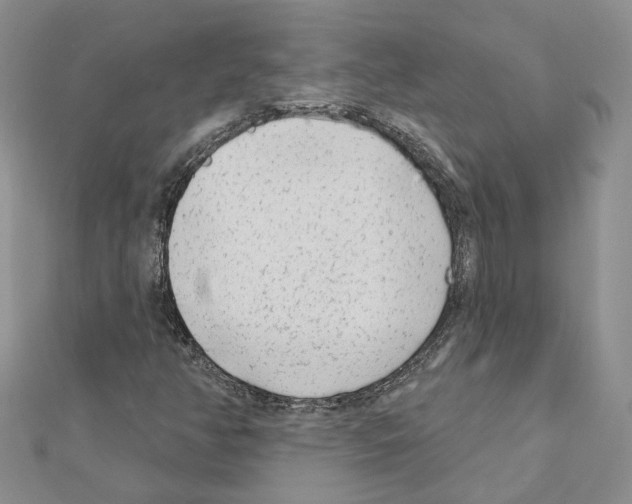 X0000111621350200908281104