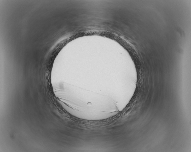 X0000111621351200908281104