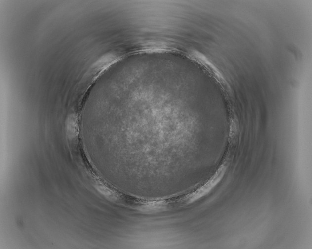 X0000111621353200908281104