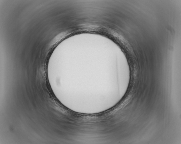 X0000111621354200908281104