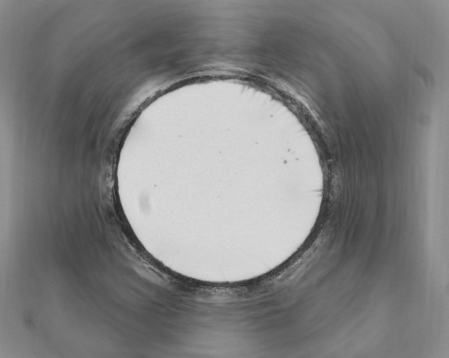 X0000111621355200908281104