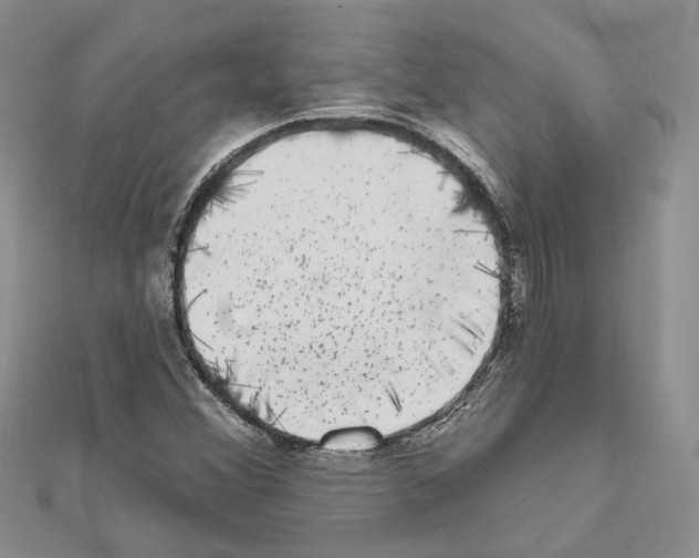 X0000111621356200908281104