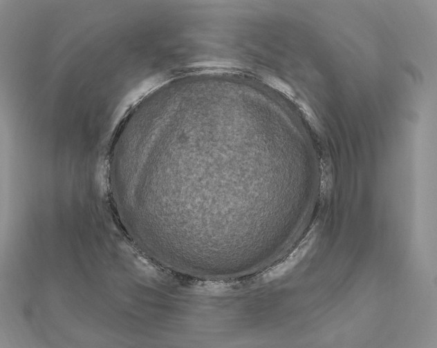 X0000111621357200908281104