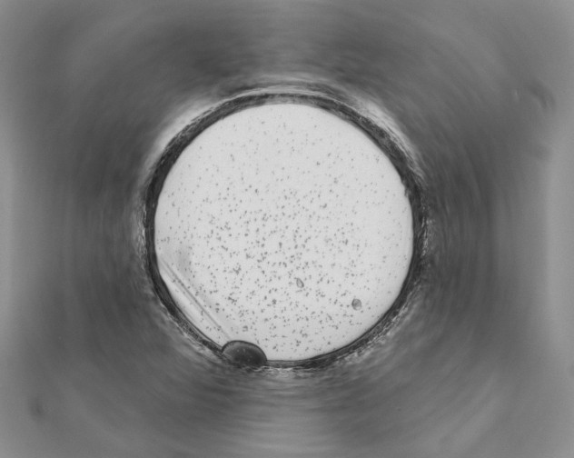 X0000111621360200908281104