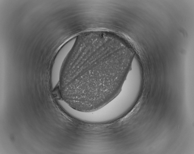 X0000111621361200908281104