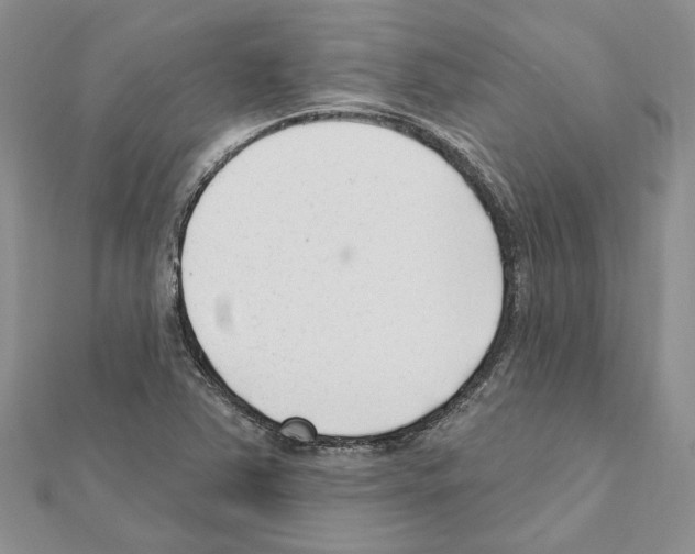 X0000111621363200908281104