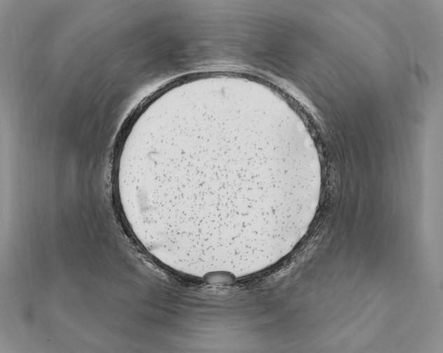 X0000111621364200908281103