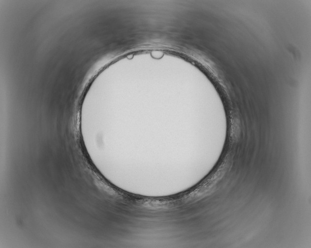 X0000111621366200908281103