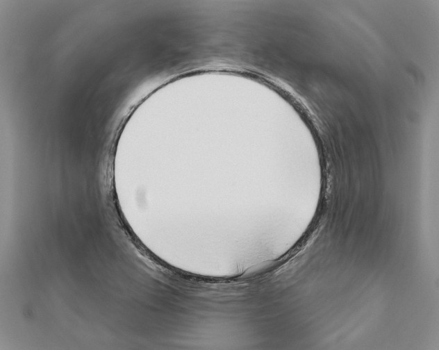 X0000111621367200908281103