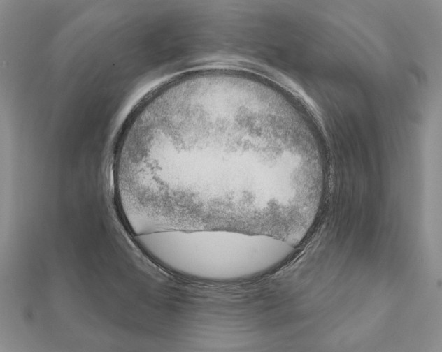 X0000111621368200908281103