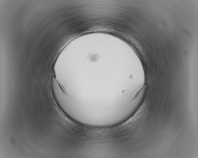 X0000111621369200908281103