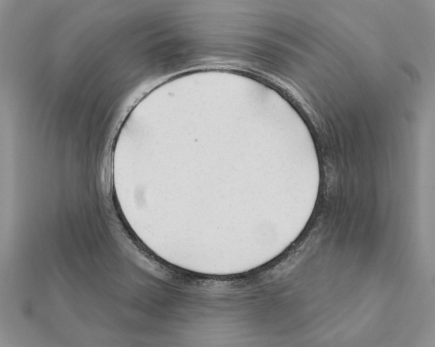 X0000111621371200908281103