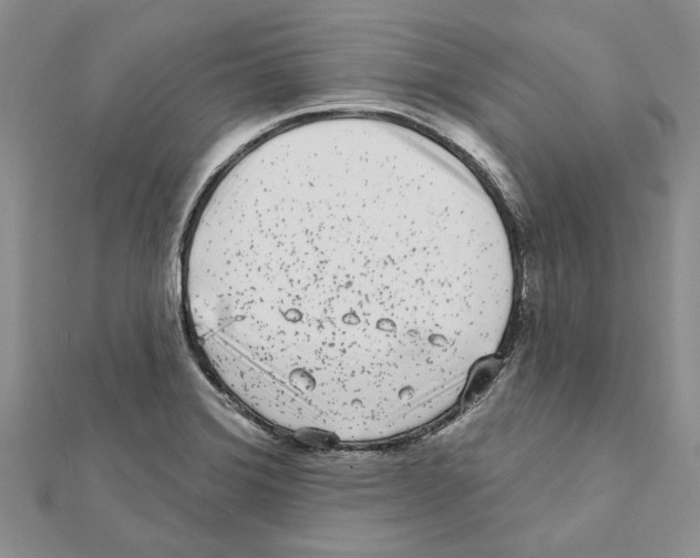 X0000111621372200908281103