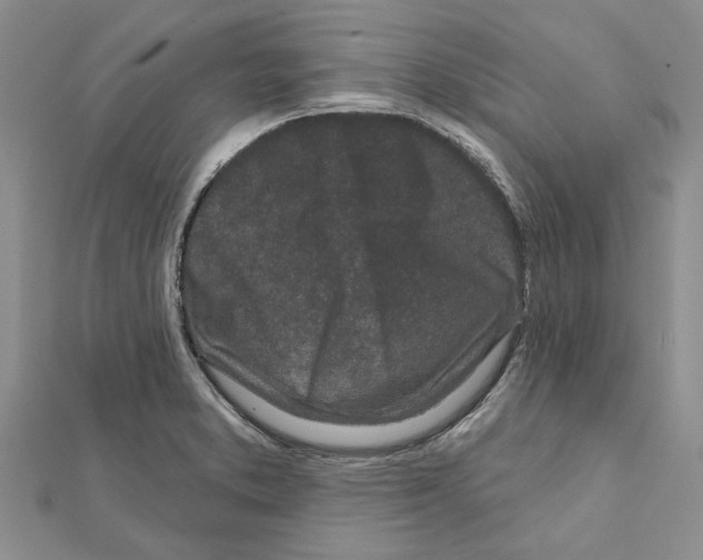 X0000111621373200908281103