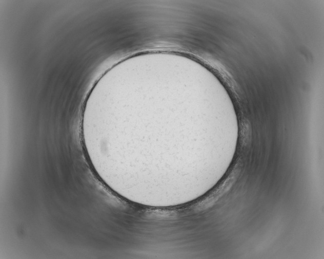 X0000111621374200908281103