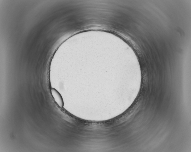 X0000111621375200908281103