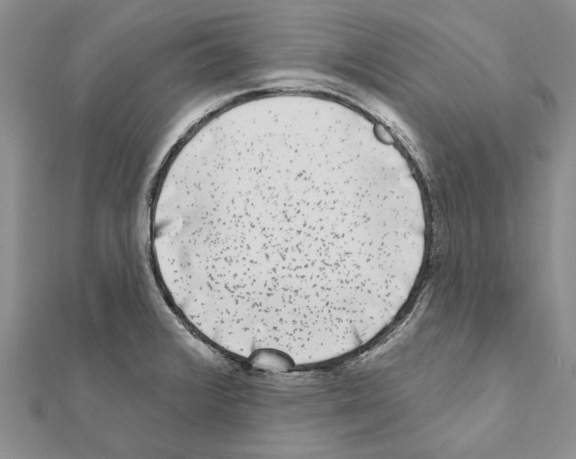 X0000111621376200908281103