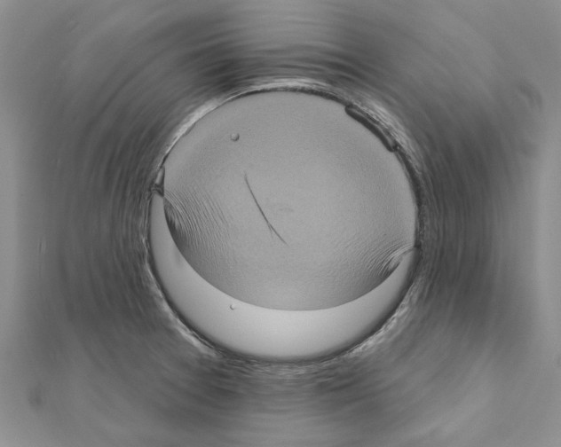 X0000111621377200908281103