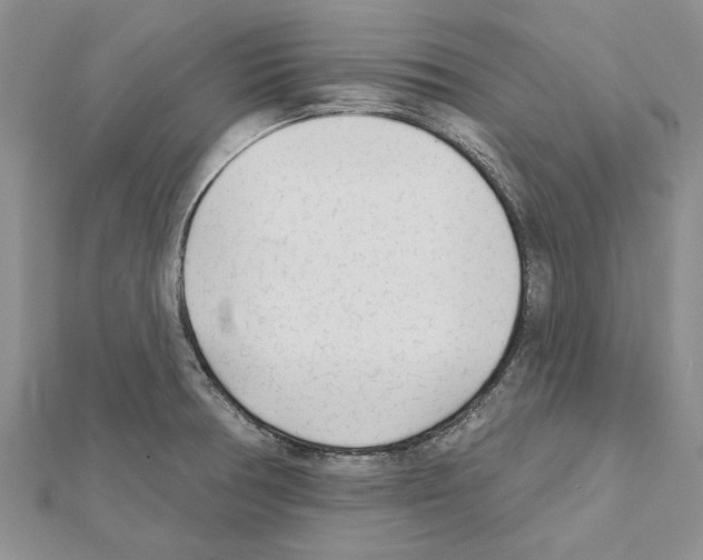 X0000111621378200908281103