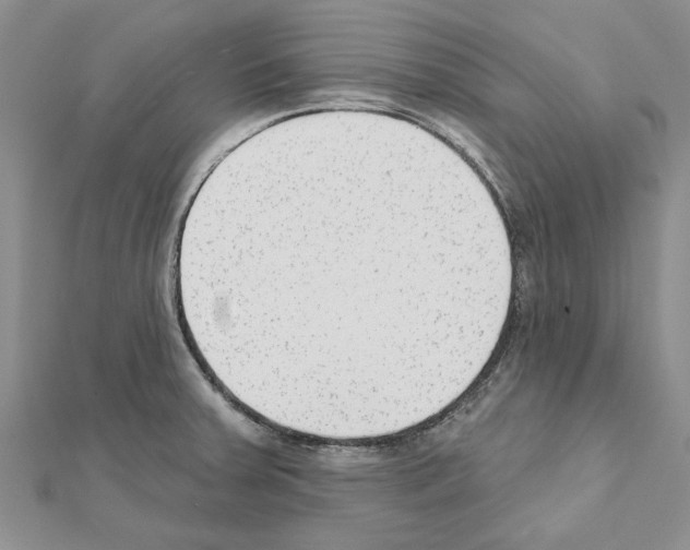 X0000111621379200908281103