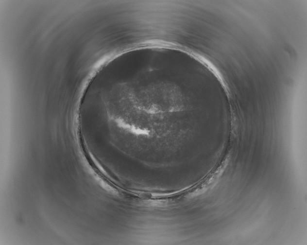 X0000111621381200908281103