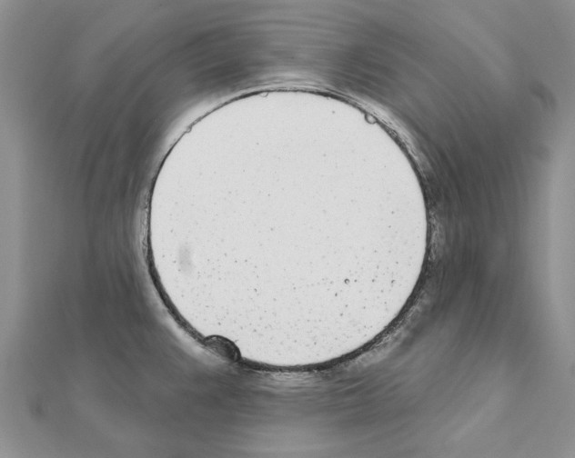 X0000111621383200908281103