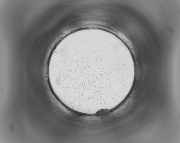 X0000111621384200908281103